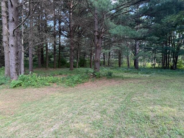 1422 E Monroe St, White Cloud, MI 49349 - view of yard with a forest view