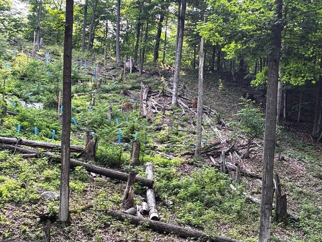 10520 S Dalzell Rd, Traverse City, MI 49684