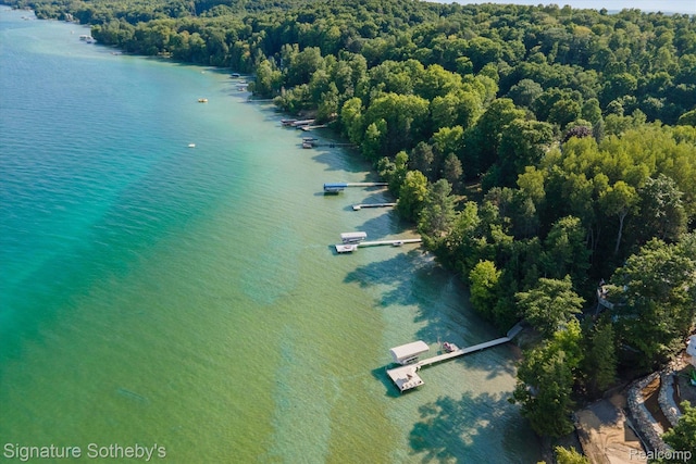 8641 Brettonwood Shores Rd, Rapid City, MI 49676 - aerial view of a large body of water and a heavily wooded area
