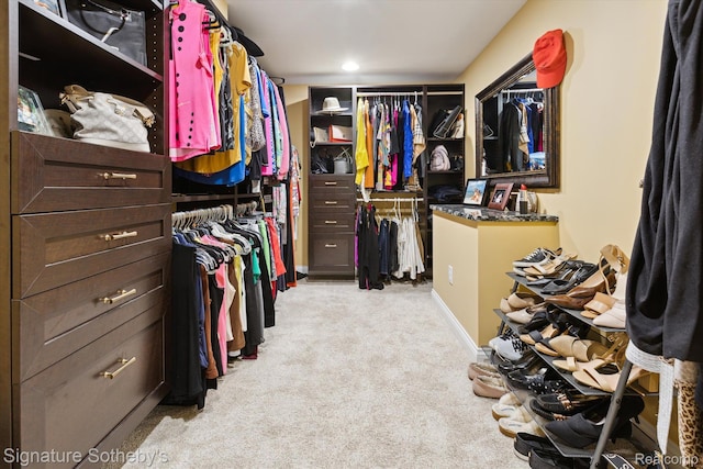 8641 Brettonwood Shores Rd, Rapid City, MI 49676 - spacious closet with carpet flooring