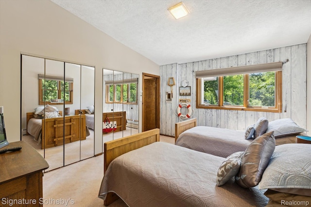 8641 Brettonwood Shores Rd, Rapid City, MI 49676 - bedroom with a textured ceiling, lofted ceiling, multiple windows, multiple closets, and light colored carpet