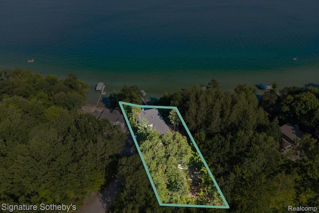 8641 Brettonwood Shores Rd, Rapid City, MI 49676 - view of property location featuring property boundaries highlighted and a large body of water