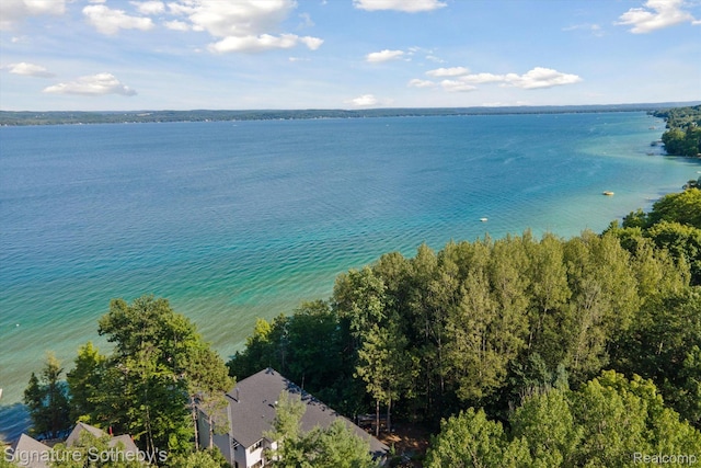 8641 Brettonwood Shores Rd, Rapid City, MI 49676 - drone / aerial view of a large body of water