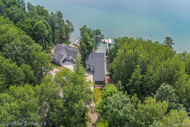 8641 Brettonwood Shores Rd, Rapid City, MI 49676 - view from above of property with a large body of water