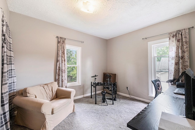 312 N Davison St, Davison, MI 48423 - photo 11