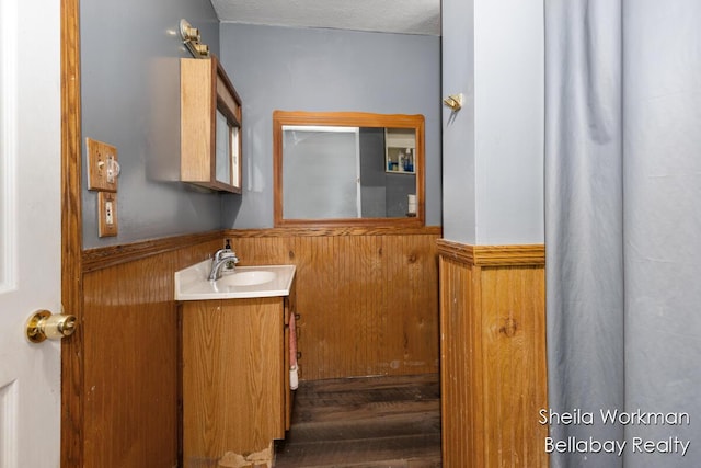 803 S Hanover St, Hastings, MI 49058 - bathroom with vanity, wainscoting, wooden walls, and wood finished floors