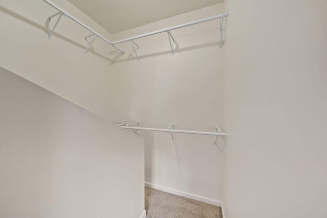210 W Grove Ave, Michigan Center, MI 49254 - spacious closet with light colored carpet