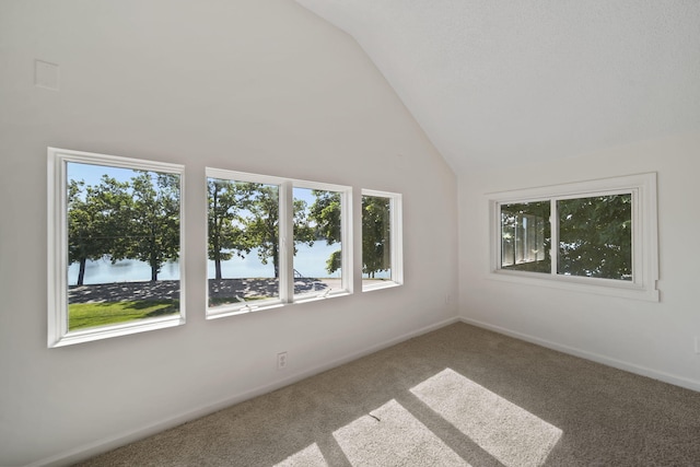 210 W Grove Ave, Michigan Center, MI 49254 - carpeted empty room featuring high vaulted ceiling and baseboards