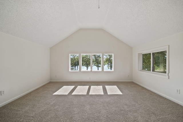 210 W Grove Ave, Michigan Center, MI 49254 - spare room featuring plenty of natural light, carpet, a textured ceiling, and vaulted ceiling