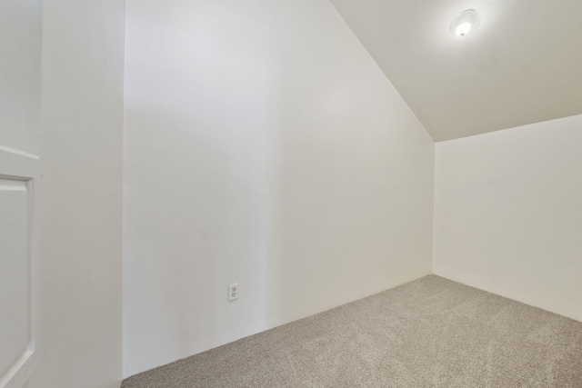 210 W Grove Ave, Michigan Center, MI 49254 - additional living space featuring carpet floors and vaulted ceiling