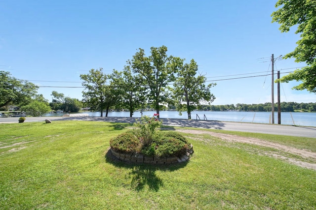 210 W Grove Ave, Michigan Center, MI 49254 - view of grassy yard with a water view