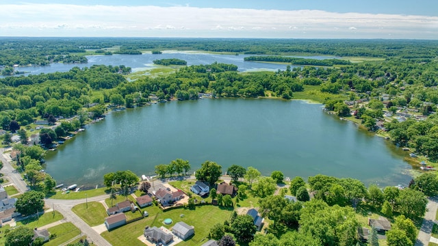210 W Grove Ave, Michigan Center, MI 49254 - bird's eye view of a large body of water and a heavily wooded area