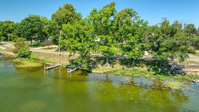 210 W Grove Ave, Michigan Center, MI 49254 - water view with a dock and a tree filled landscape