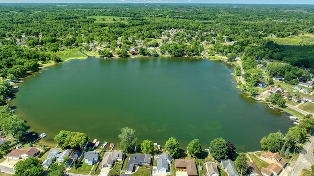 210 W Grove Ave, Michigan Center, MI 49254 - aerial overview of property's location featuring a forest and a nearby body of water