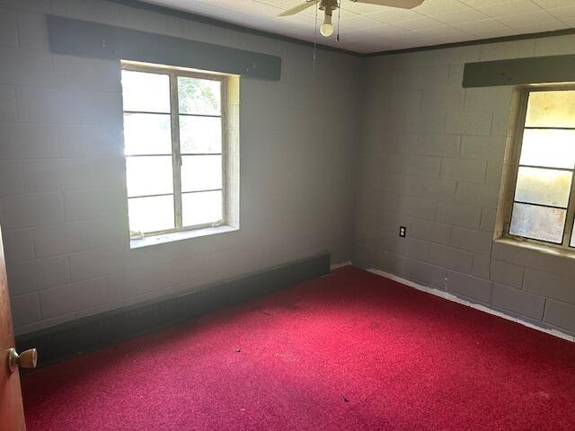 250 131st Ave, Wayland, MI 49348 - spare room featuring ceiling fan, concrete block wall, and carpet