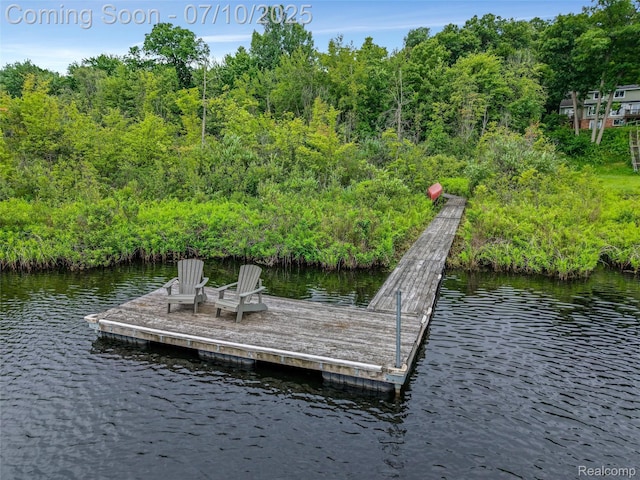 1444 W Clarkston Rd, Lake Orion, MI 48362 - dock area with a water view and a wooded view