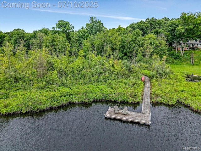 1444 W Clarkston Rd, Lake Orion, MI 48362 - dock area featuring a water view