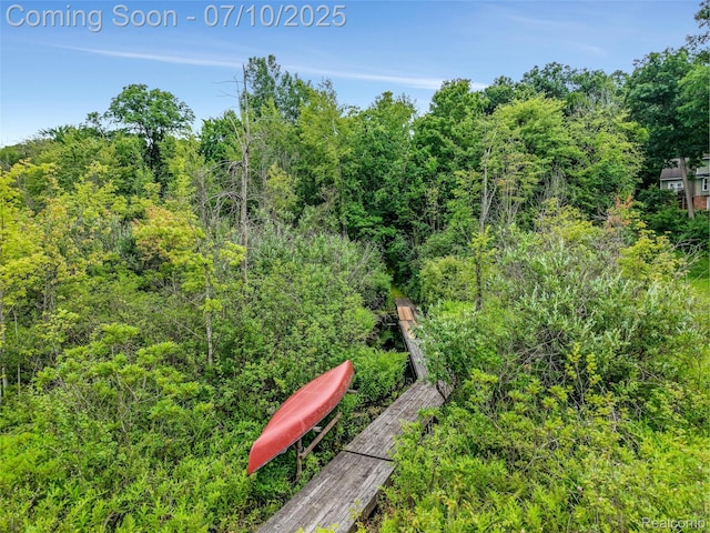 1444 W Clarkston Rd, Lake Orion, MI 48362 - exterior view of a heavily wooded area
