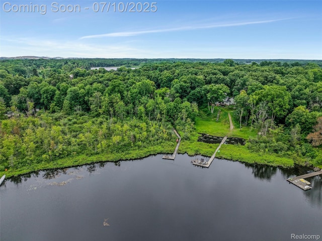 1444 W Clarkston Rd, Lake Orion, MI 48362 - aerial view of a heavily wooded area and a nearby body of water