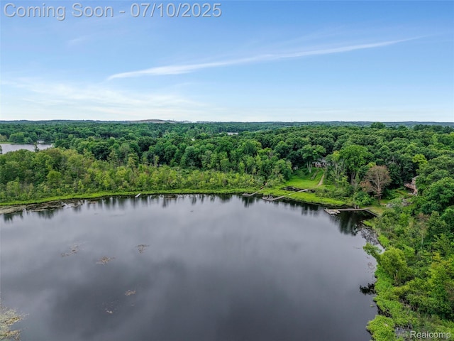 1444 W Clarkston Rd, Lake Orion, MI 48362 - bird's eye view of a forest and a nearby body of water