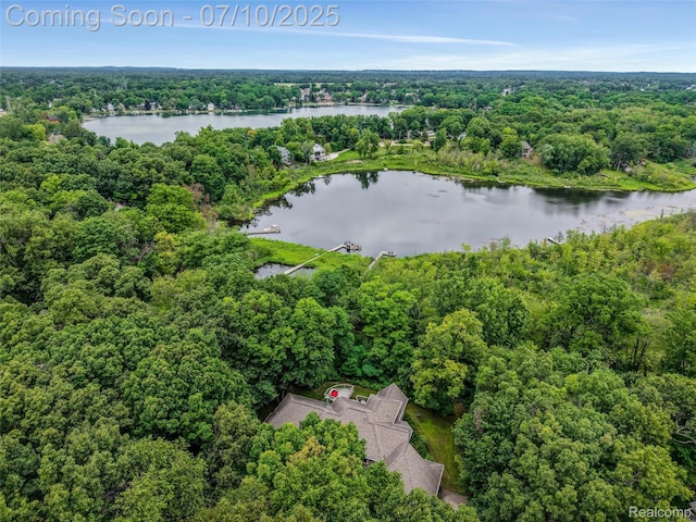 1444 W Clarkston Rd, Lake Orion, MI 48362 - bird's eye view of a forest and a large body of water