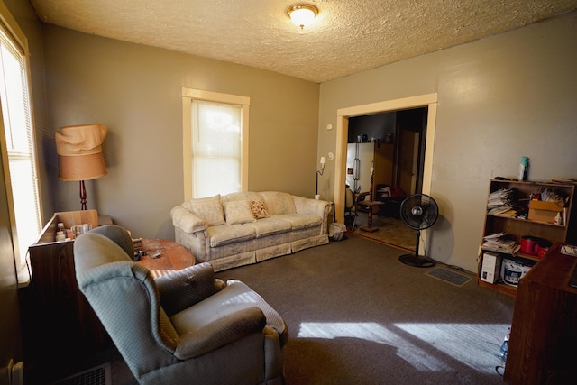 57 S 3rd St, Niles, MI 49120 - living room with healthy amount of natural light, carpet, and a textured ceiling