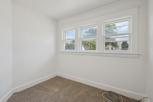 400 Burton St SW, Grand Rapids, MI 49507 - spare room featuring carpet floors, plenty of natural light, and crown molding