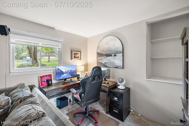 5021 Paula Ave, Clarkston, MI 48346 - view of carpeted office space