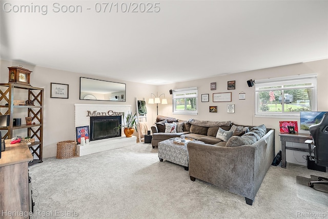 5021 Paula Ave, Clarkston, MI 48346 - living area with carpet flooring and a brick fireplace