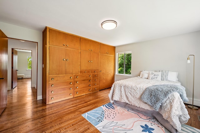 3017 Niles Buchanan Rd, Buchanan, MI 49107 - bedroom with wood finished floors, a closet, and a baseboard radiator