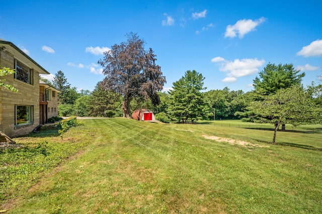 3017 Niles Buchanan Rd, Buchanan, MI 49107 - view of green lawn with a storage unit