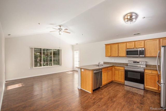 12129 Hidden View Ct, Utica, MI 48315 - kitchen with appliances with stainless steel finishes, open floor plan, a peninsula, lofted ceiling, and dark wood-type flooring