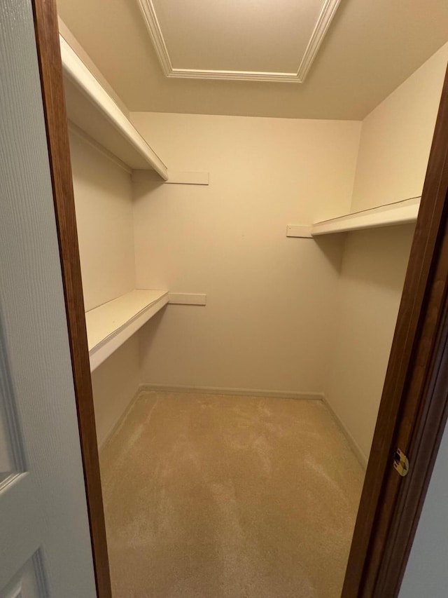 70173 Hillside Ct, Romeo, MI 48065 - spacious closet with carpet flooring