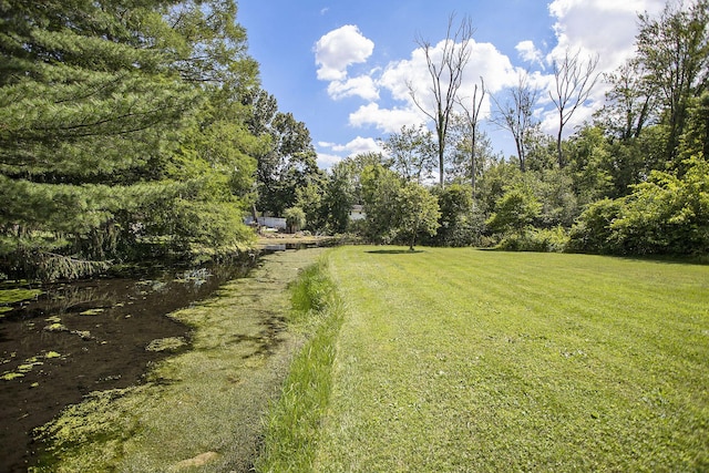 8520 Pennfield Rd, Battle Creek, MI 49017 - view of green lawn