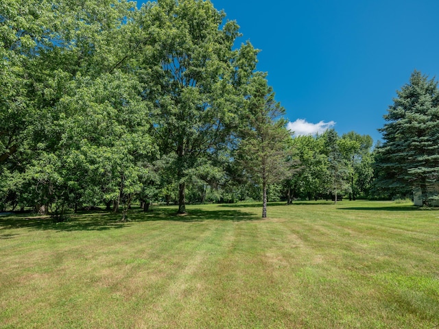 4409 E T U Ave, Vicksburg, MI 49097 - view of grassy yard
