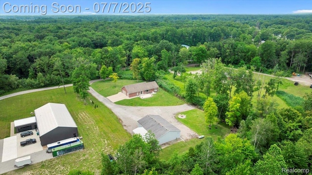22069 Inkster Rd, Flat Rock, MI 48174 - drone / aerial view of a forest