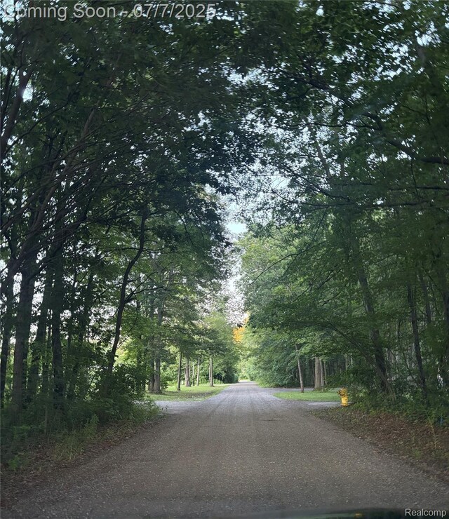 22069 Inkster Rd, Flat Rock, MI 48174 - view of asphalt road featuring a wooded view