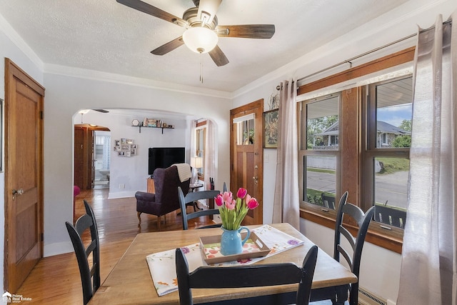 331 S St, Ortonville, MI 48462 - dining space with arched walkways, light wood-style flooring, ceiling fan, and ornamental molding