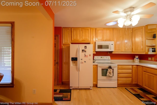 9205 Rocker Ave, Plymouth, MI 48170 - photo 9