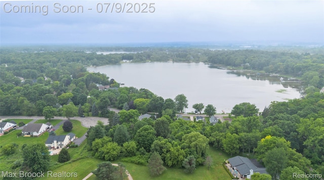1478 Courtney Ct, Hartland, MI 48353 - aerial view of a nearby body of water