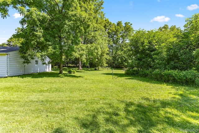 785 Tromley St, Inkster, MI 48141 - view of grassy yard