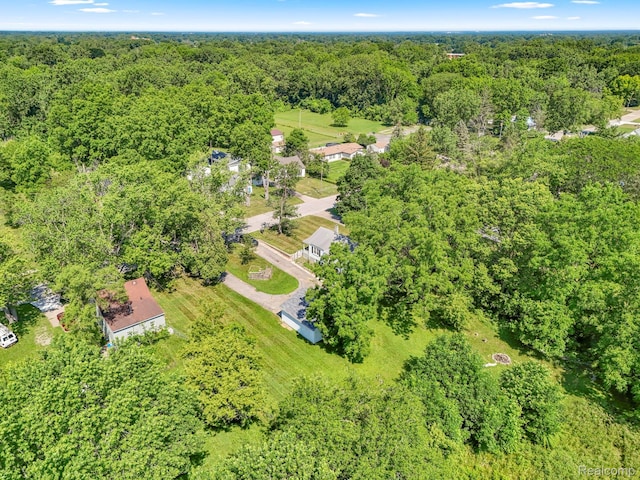 785 Tromley St, Inkster, MI 48141 - aerial view of a forest