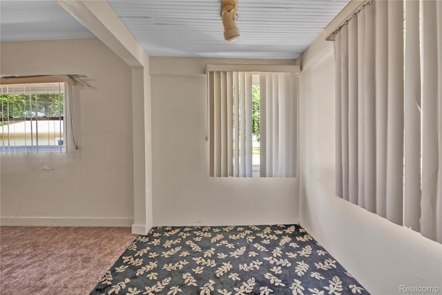 2147 Romeo St, Ferndale, MI 48220 - empty room featuring carpet and baseboards