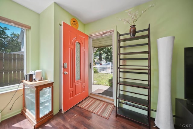 317 Clark St, Clinton, MI 49236 - foyer entrance featuring plenty of natural light and dark wood-style flooring