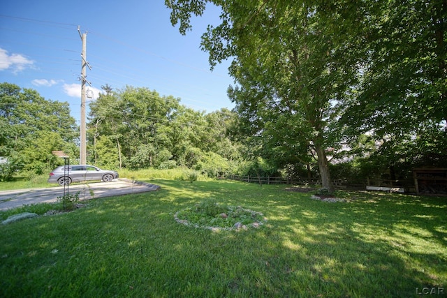 317 Clark St, Clinton, MI 49236 - view of grassy yard