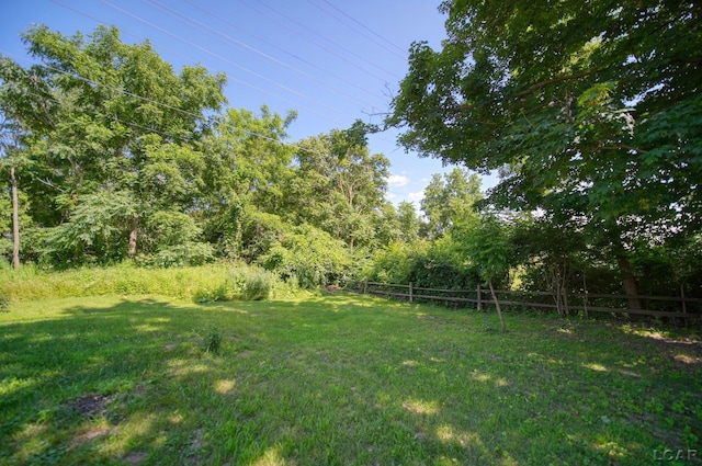 317 Clark St, Clinton, MI 49236 - view of yard