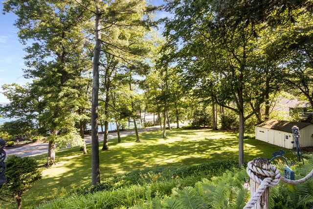 7787 E Shore Dr, Traverse City, MI 49686 - photo 33