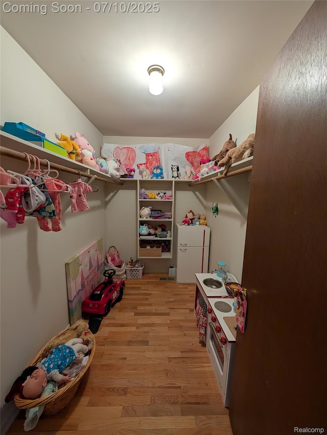 1391 Dye Krest Cir, Flint, MI 48532 - walk in closet with light wood-type flooring