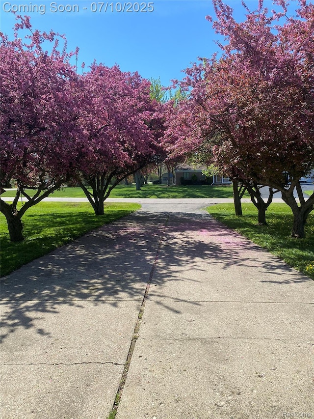 1391 Dye Krest Cir, Flint, MI 48532 - view of street