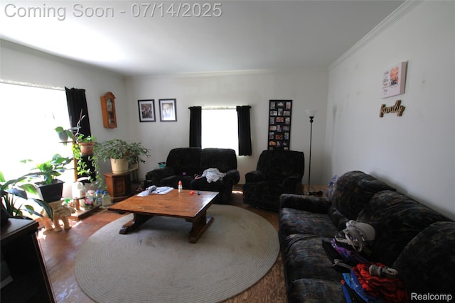 116 N Shiawassee St, Bancroft, MI 48414 - living room featuring crown molding and wood finished floors